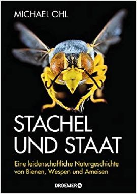 insekten1